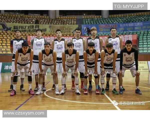 重庆篮球队实力分析与赛季表现评估全面解读