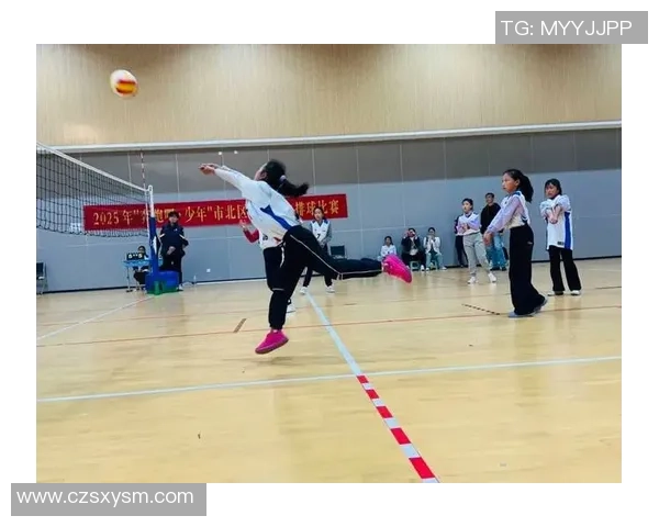 上海排球队的速度之美：探秘排球运动中的快速反应与战术运用