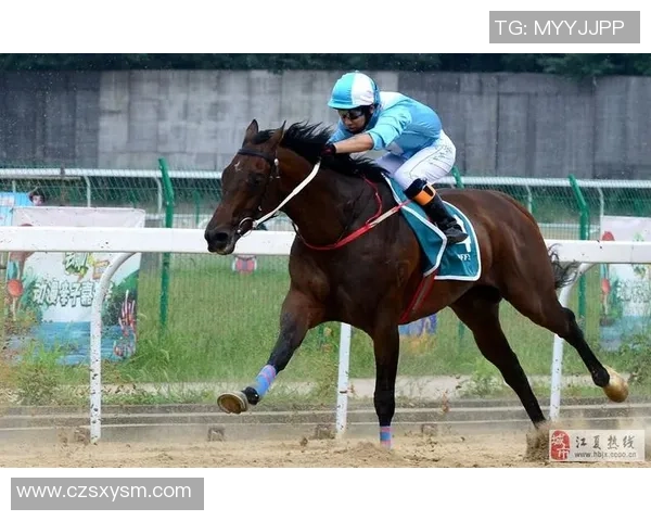 武汉篮球队速度之美展现大满贯点评引领赛场新风潮
